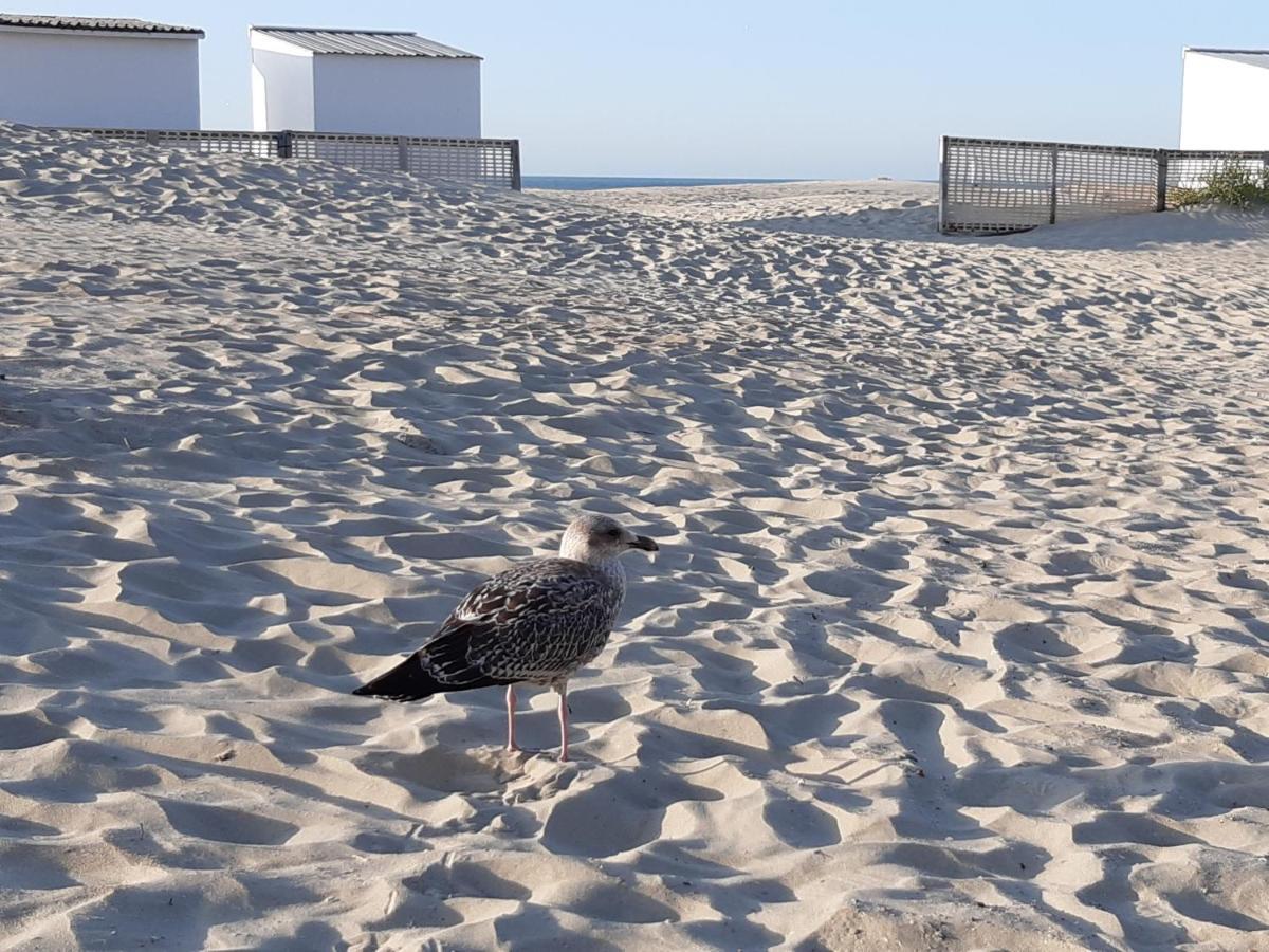 Nieuwpoort Marjolaine Prachtig Zeezicht - 4De Verdiep -Op De Dijk 5Pers 외부 사진